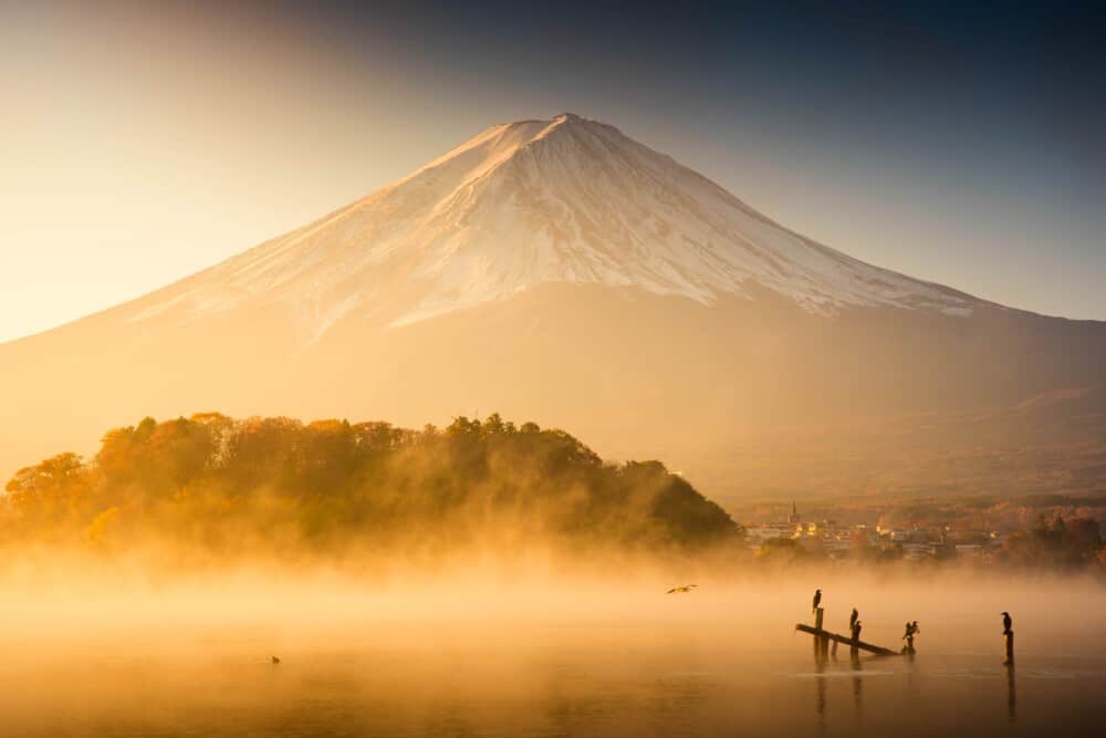 mount fuji trip reddit